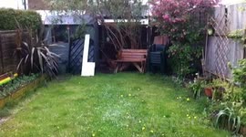 Spring hailstorms and buttercups in London