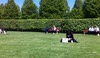 People enjoying the sun in Shepherds Bush!