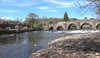 Summer Scenes from the beautiful Mid Devon.