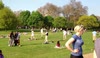 warm weather in hyde park london