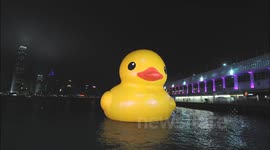 TimeLapse Hongkong rubber duck and peoples