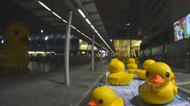 Rubber Duck with Peoples HongKong TimeLapse