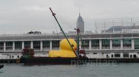 Rubber Duck Standby