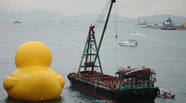 Rubber Duck Standby with old ship