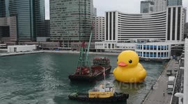 Rubber duck standby from front