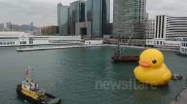 Rubber Duck ready to move