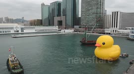Rubber Duck standby