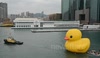 Rubber duck start to moving