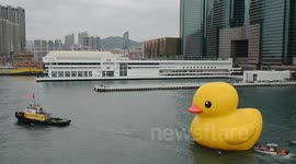 Rubber duck start to moving