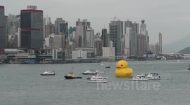 Rubber duck SWIM