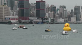 Rubber duck stop
