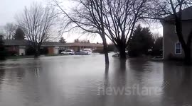 Des Plaines Flood - Franklin Park