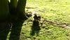 A day in the garden