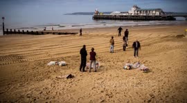 CoastalBID Flower Project 2013.05.16