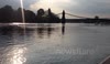 Seal in the Thames around Hammersmith, London