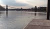 Seal in the thames, very far up at Hammersmith!