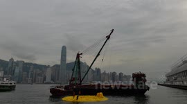 Preparing to put air in Rubber duck HongKong  come back Again