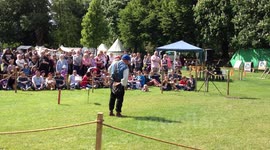 Colchester Medieval Festival 2013 - Falconry
