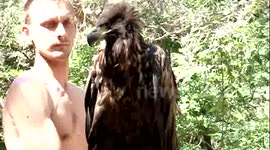 Huge bird of prey rescued in Ukraine