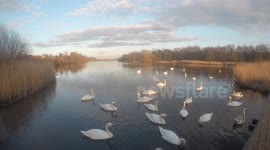 Swan Lake - Time Lapse