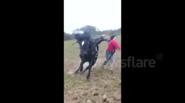 Horse refuses to be mounted