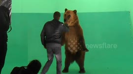 Shooting a bear on a green background