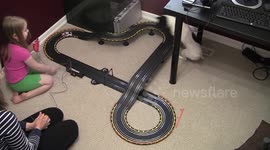 Jack Russell does circles around race track!