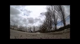 Seagulls nab camera baited with bread