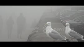 Thick fog shrouds Paignton coastline in Torbay, UK