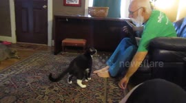 Cat leaps over dog to play 'fetch'
