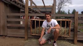 How Sheep React to Card Tricks?