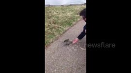 Squirrel bites the hand that feeds