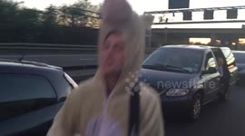 Sheep Spotted on M6 Traffic Jam