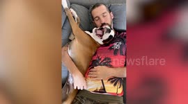Viral video shows hilarious moment dog cleans owners nose