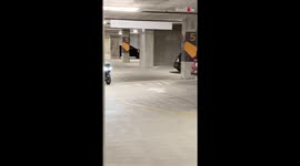 Motorbike Wheelie Gone Wrong