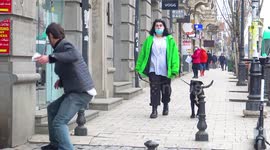 Fake Angry Dog Prank  - AWESOME REACTIONS