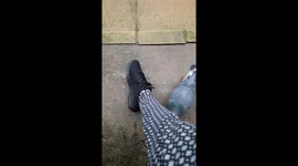 Peanut the pigeon is in love  with my new trainers