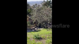 US: Strong Santa Ana Wind Causes Havoc In South California 2