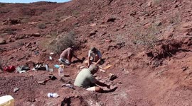 98-million-year-old dinosaur fossil speculated to be the world's largest ever creature