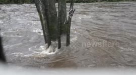 Swollen River Calder in Hebden Bridge swallowing trees