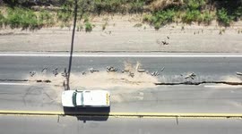 Large crack cuts through Argentina's longest road after a 6.4-magnitude earthquake
