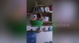 Family’s kitchen shakes as magnitude 7 earthquake hits the Philippines