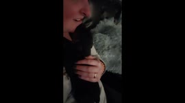 Tiny pup mistakes owner's chin for nipple and tries to suckle