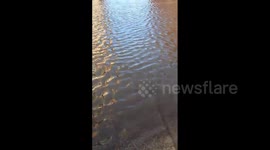 UK: Storm Christoph Triggers Severe Floods In Yorkshire 2
