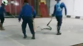 Evacuation of Python Enter Besmen in West Jakarta, Indonesia