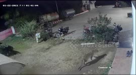Security cam captures remarkable moment a brave dog fights off a wild leopard