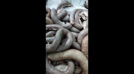 Horror dish made from pork organs and intestines in Vietnam