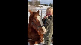 Little two year old playing with a horse colt.