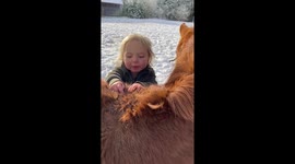 Little 2years old plays with a baby horse.