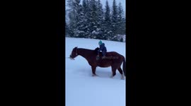Little two years old rides a horse with her cat!